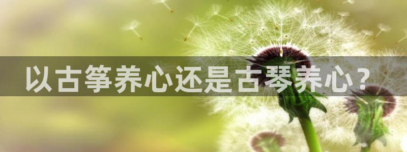 凯发k8娱乐手机版官网:以古筝养心还是古琴养心?